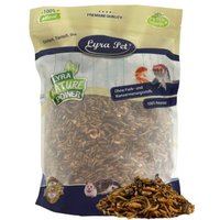 Lyra Pet Protein Boost Insekten Mix - mit Mehlwürmern, Shrimps & Grashüpfern 1 kg von LYRA PET