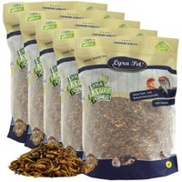 Lyra Pet Protein Boost Insekten Mix - mit Mehlwürmern, Shrimps & Grashüpfern 5 kg von LYRA PET