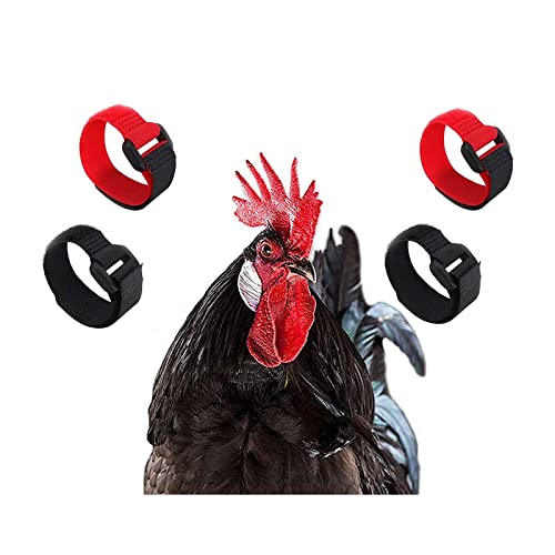 Huhn Kragen Hahnhalsband 4 Stück Hühnern Hahnkragen Anti Haken Einstellbare Verhindert DASS Hühner schreien stören Nachbarn Hühnerhalsbänder Huhn Kragen Hahnhalsband 4 Stück Hühnern Hahnkragen Anti Haken Einstellbare Verhindert DASS Hühner schreien stören Nachbarn Hühnerhalsbänder von LYUANWEI