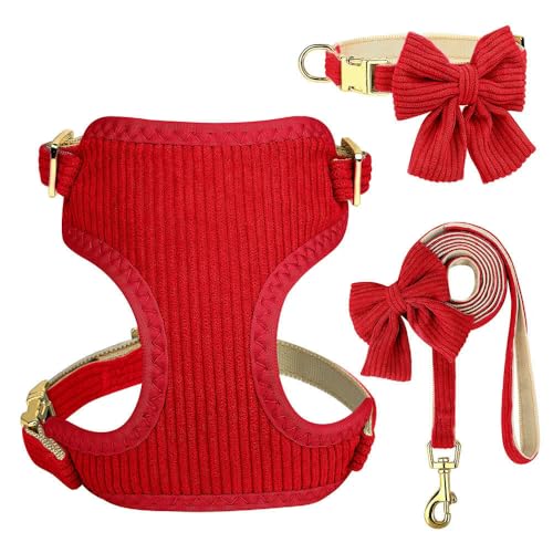 LYVQZPWLRHund mit Werkzeug, 3-teiliges Hundehalsband- und Leine-Set, atmungsaktive Geschirre aus weichem Samt, Welpenhalskette mit Schleife, Haustier-Laufseil for Mops(Rosso,Small) von LYVQZPWLR