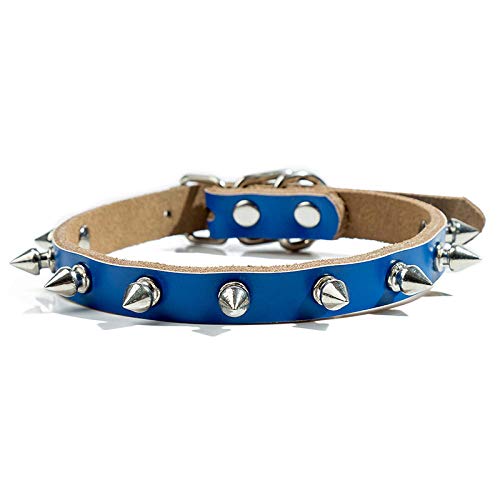 LYVQZPWLRHund mit Werkzeug, Basic Hundeleinen Hundehalsband Rindsleder Hundegeschirr Verstellbar Bull Terrier Hunde Haustiere(Blu,XS) von LYVQZPWLR