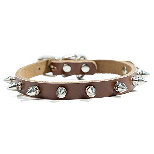 LYVQZPWLRHund mit Werkzeug, Basic Hundeleinen Hundehalsband Rindsleder Hundegeschirr Verstellbar Bull Terrier Hunde Haustiere(Coffee,Small) von LYVQZPWLR