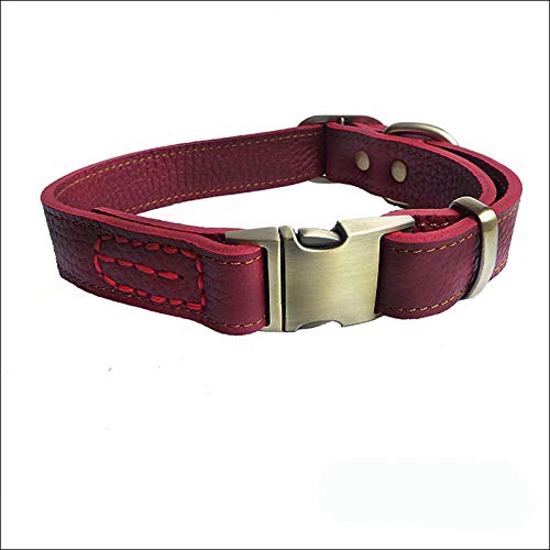 LYVQZPWLRHund mit Werkzeug, Basic Hundeleinen Leder Hundehalsband Mittlere und große Haustiere Schnapphalsband Verstellbarer Hund(Coffee,Medium) von LYVQZPWLR
