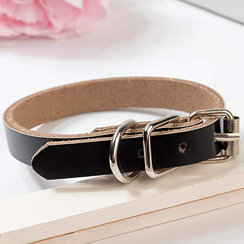 LYVQZPWLRHund mit Werkzeug, Haustier führt Leinen XS-XL Leder Hundehalsband Kleine Mittelgroße Hunde Haustierprodukte Verstellbares Haustier(Black,X-Large) von LYVQZPWLR