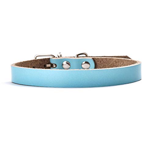 LYVQZPWLRHund mit Werkzeug, Haustier führt Leinen XS-XL Leder Hundehalsband Kleine Mittelgroße Hunde Haustierprodukte Verstellbares Haustier(Sky Blue,Small) von LYVQZPWLR