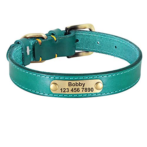 LYVQZPWLRHund mit Werkzeug, Haustier führt Leinen personalisierte Leder Hundehalsband Leder Gold Schnalle Haustier ID Halsband(Blu,Small) von LYVQZPWLR