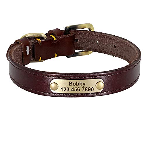 LYVQZPWLRHund mit Werkzeug, Haustier führt Leinen personalisierte Leder Hundehalsband Leder Gold Schnalle Haustier ID Halsband(Dark Brown,2XL) von LYVQZPWLR