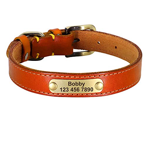 LYVQZPWLRHund mit Werkzeug, Haustier führt Leinen personalisierte Leder Hundehalsband Leder Gold Schnalle Haustier ID Halsband(Light Brown,Small) von LYVQZPWLR