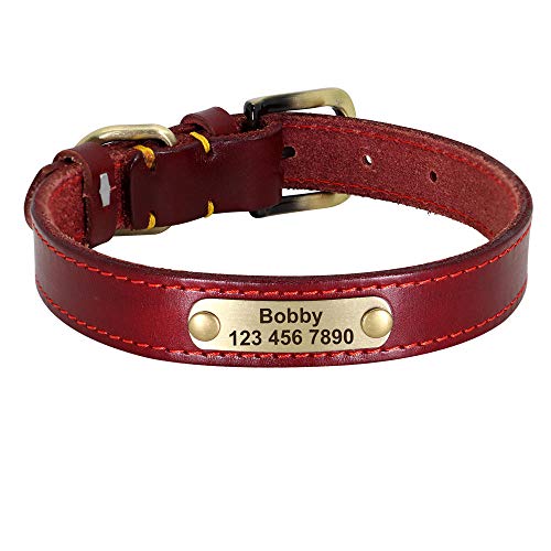 LYVQZPWLRHund mit Werkzeug, Haustier führt Leinen personalisierte Leder Hundehalsband Leder Gold Schnalle Haustier ID Halsband(Rosso,X-Large) von LYVQZPWLR