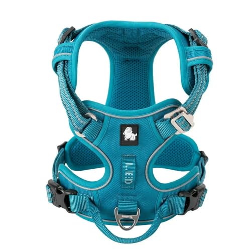 LYVQZPWLRHund mit Werkzeug, Haustiergeschirr, kein Ziehen, reflektierendes Hundegeschirr aus Nylon, verstellbar, Bequeme Kontrolle, Step-in(Blu,Small) von LYVQZPWLR