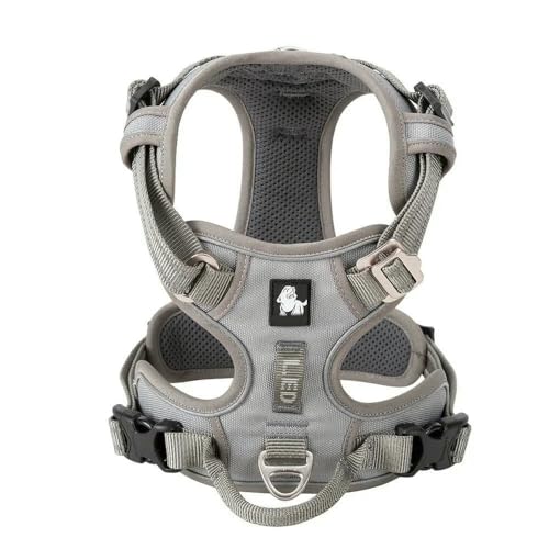LYVQZPWLRHund mit Werkzeug, Haustiergeschirr, kein Ziehen, reflektierendes Hundegeschirr aus Nylon, verstellbar, Bequeme Kontrolle, Step-in(Grijs,Large) von LYVQZPWLR