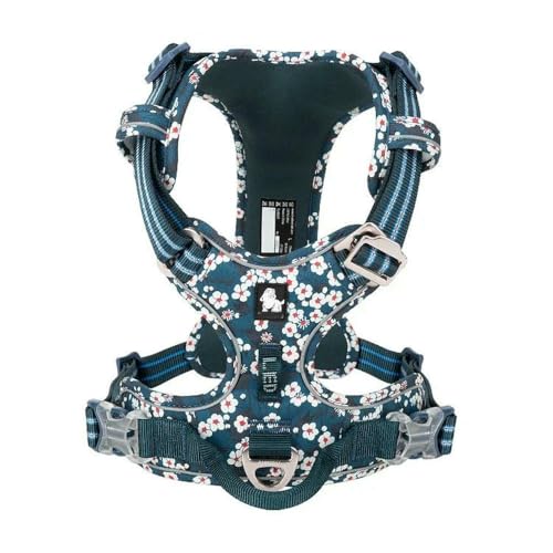 LYVQZPWLRHund mit Werkzeug, Haustiergeschirr, kein Ziehen, reflektierendes Hundegeschirr aus Nylon, verstellbar, Bequeme Kontrolle, Step-in(Saxony Blue,Medium) von LYVQZPWLR