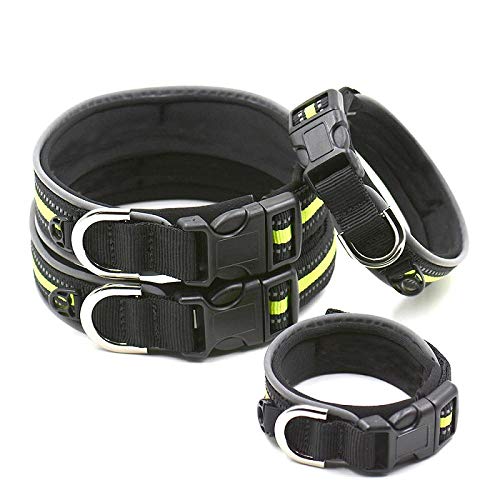 LYVQZPWLRHund mit Werkzeug, Haustierleinen, Hundeleinen, Nylon-Halsband for Haustiere, verstellbar, reflektierend, kleines und mittelgroßes Hundehalsband, Hundemarke for Aufhängen, Traktion(Green,Medi LYVQZPWLRHund mit Werkzeug, Haustierleinen, Hundeleinen, Nylon-Halsband for Haustiere, verstellbar, reflektierend, kleines und mittelgroßes Hundehalsband, Hundemarke for Aufhängen, Traktion(Green,Medi von LYVQZPWLR