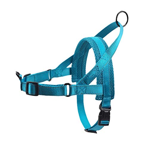 LYVQZPWLRHund mit Werkzeug, Haustierleinen Hundegeschirr Reflektierendes Haustiergeschirr Weste Weiches Mesh Atmungsaktives Hundegeschirr Haustier Brustgurt(Blu,Small) von LYVQZPWLR