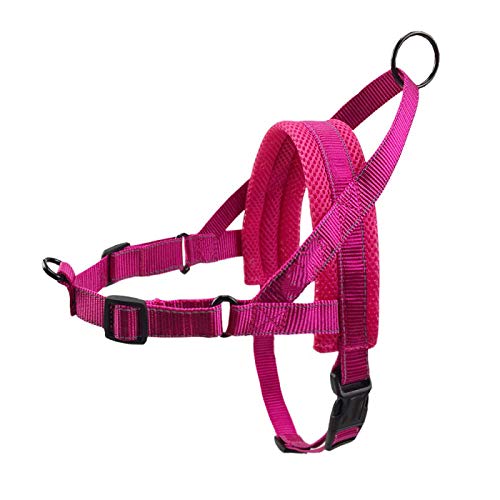 LYVQZPWLRHund mit Werkzeug, Haustierleinen Hundegeschirr Reflektierendes Haustiergeschirr Weste Weiches Mesh Atmungsaktives Hundegeschirr Haustier Brustgurt(Rose red,X-Large) von LYVQZPWLR