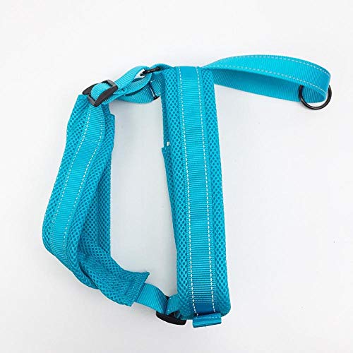 LYVQZPWLRHund mit Werkzeug, Hunde-Zugseil, bequemes Netzgewebe, großes Hundegeschirr, reflektierende Haustiergeschirrweste, weiche, atmungsaktive Hundegeschirre, Haustier-Brustgurt(Blu,Large) von LYVQZPWLR