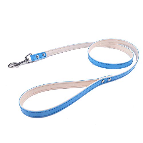 LYVQZPWLRHund mit Werkzeug, Hunde-Zugseil Welpenhalsbänder Hundegeschirr-Leinen-Sets(Blue 1) von LYVQZPWLR