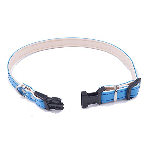 LYVQZPWLRHund mit Werkzeug, Hunde-Zugseil Welpenhalsbänder Hundegeschirr-Leinen-Sets(Blue 2) von LYVQZPWLR
