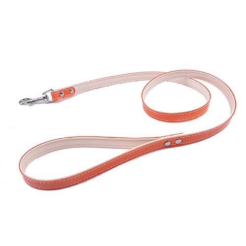 LYVQZPWLRHund mit Werkzeug, Hunde-Zugseil Welpenhalsbänder Hundegeschirr-Leinen-Sets(Orange 1) von LYVQZPWLR