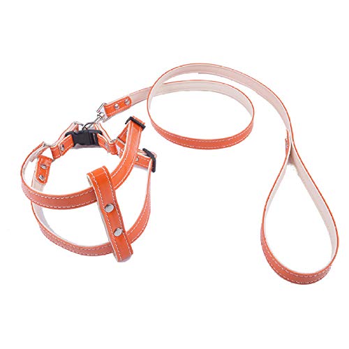 LYVQZPWLRHund mit Werkzeug, Hunde-Zugseil Welpenhalsbänder Hundegeschirr-Leinen-Sets(Oranje) von LYVQZPWLR