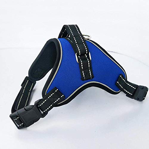 LYVQZPWLRHund mit Werkzeug, Hunde-Zugseilweste, Hundegeschirr, reflektierende Hundeleinen, Mesh-Haustier-Auslauf-Handschlaufe, Weste, verstellbare Geschirre(Blu,XXL) von LYVQZPWLR