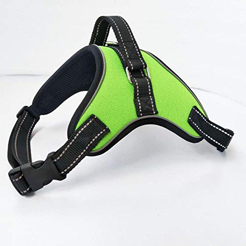 LYVQZPWLRHund mit Werkzeug, Hunde-Zugseilweste, Hundegeschirr, reflektierende Hundeleinen, Mesh-Haustier-Auslauf-Handschlaufe, Weste, verstellbare Geschirre(Green,Large) von LYVQZPWLR