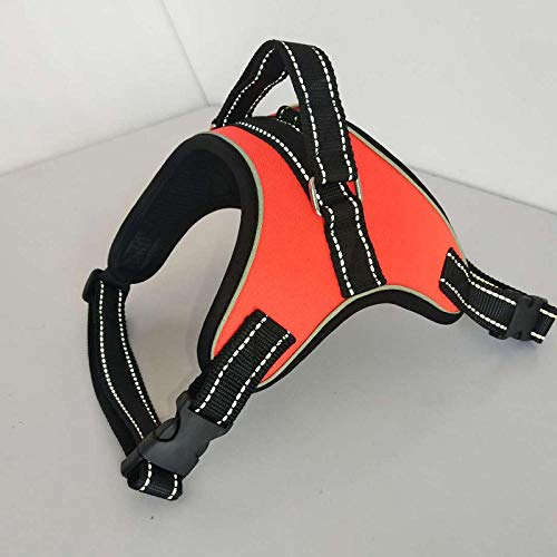 LYVQZPWLRHund mit Werkzeug, Hunde-Zugseilweste, Hundegeschirr, reflektierende Hundeleinen, Mesh-Haustier-Auslauf-Handschlaufe, Weste, verstellbare Geschirre(Oranje,X-Large) von LYVQZPWLR