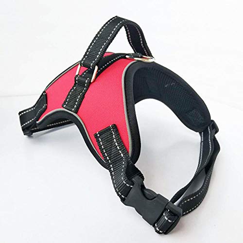 LYVQZPWLRHund mit Werkzeug, Hunde-Zugseilweste, Hundegeschirr, reflektierende Hundeleinen, Mesh-Haustier-Auslauf-Handschlaufe, Weste, verstellbare Geschirre(Rosso,Small) von LYVQZPWLR