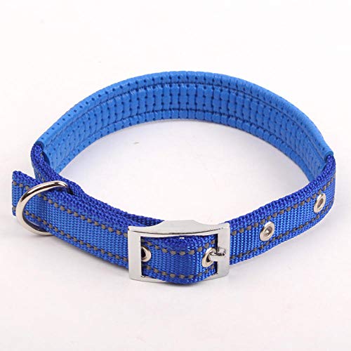 LYVQZPWLRHund mit Werkzeug, Hundetrainingsleine, reflektierendes Hundehalsband, Nylon, nachtsichere Halsbänder mit Schaumstoffpolsterung, verstellbare Metallschnalle for den Hals des Haustiers(Blu,Med von LYVQZPWLR