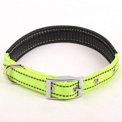 LYVQZPWLRHund mit Werkzeug, Hundetrainingsleine, reflektierendes Hundehalsband, Nylon, nachtsichere Halsbänder mit Schaumstoffpolsterung, verstellbare Metallschnalle for den Hals des Haustiers(Green,X von LYVQZPWLR