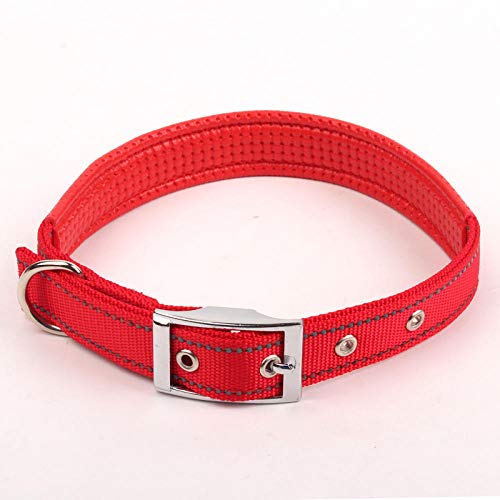 LYVQZPWLRHund mit Werkzeug, Hundetrainingsleine, reflektierendes Hundehalsband, Nylon, nachtsichere Halsbänder mit Schaumstoffpolsterung, verstellbare Metallschnalle for den Hals des Haustiers(Rosso,L von LYVQZPWLR