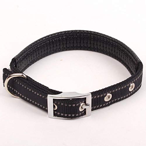 LYVQZPWLRHund mit Werkzeug, Hundetrainingsleine, reflektierendes Hundehalsband, Nylon, nachtsichere Halsbänder mit Schaumstoffpolsterung, verstellbare Metallschnalle for den Hals des Haustiers(Black,L von LYVQZPWLR