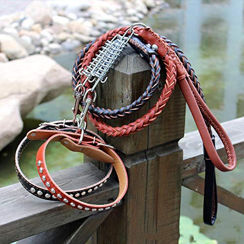 LYVQZPWLRHund mit Werkzeug, Hundezugseil Hundeleine Rindsleder Hundehalsband Großer Hund(Set,Medium) von LYVQZPWLR