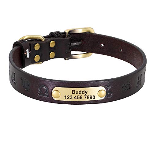 LYVQZPWLRHund mit Werkzeug, Hundezugseil Leder Hundehalsband Personalisierte Hundehalsbänder Leder Goldschnalle Deutscher Schäferhund Haustier ID Halsband(Dark Brown,X-Large) von LYVQZPWLR