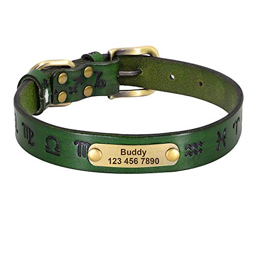 LYVQZPWLRHund mit Werkzeug, Hundezugseil Leder Hundehalsband Personalisierte Hundehalsbänder Leder Goldschnalle Deutscher Schäferhund Haustier ID Halsband(Green,X-Large) von LYVQZPWLR