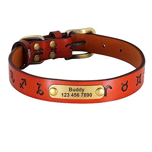 LYVQZPWLRHund mit Werkzeug, Hundezugseil Leder Hundehalsband Personalisierte Hundehalsbänder Leder Goldschnalle Deutscher Schäferhund Haustier ID Halsband(Light Brown,X-Large) von LYVQZPWLR
