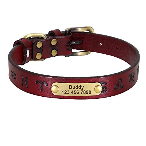 LYVQZPWLRHund mit Werkzeug, Hundezugseil Leder Hundehalsband Personalisierte Hundehalsbänder Leder Goldschnalle Deutscher Schäferhund Haustier ID Halsband(Rosso,Small) von LYVQZPWLR