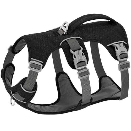 LYVQZPWLRHund mit Werkzeug, Nylon Haustier Hund Harness Reflektierende Hund Harnesses Weste Mit Griff Einstellbar for Bulldog Walking(Black,XS) von LYVQZPWLR