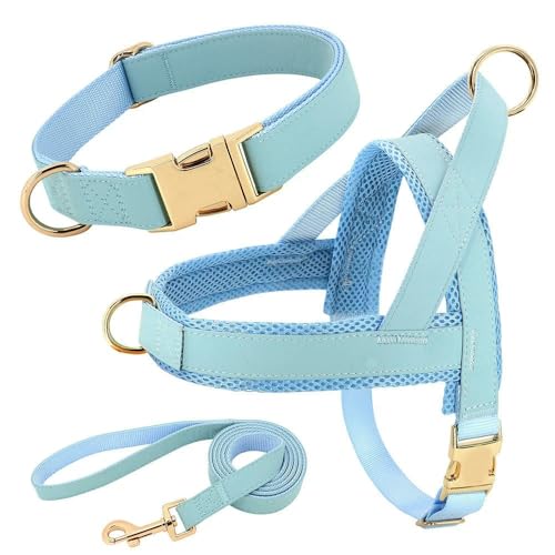 LYVQZPWLRHund mit Werkzeug, Personalisiertes Hundehalsband-Geschirr-Leine-Set, individuelle Halsbänder, Keine Zugweste for kleine, mittelgroße und große Haustiere, Laufleine(Blu,X-Large) von LYVQZPWLR
