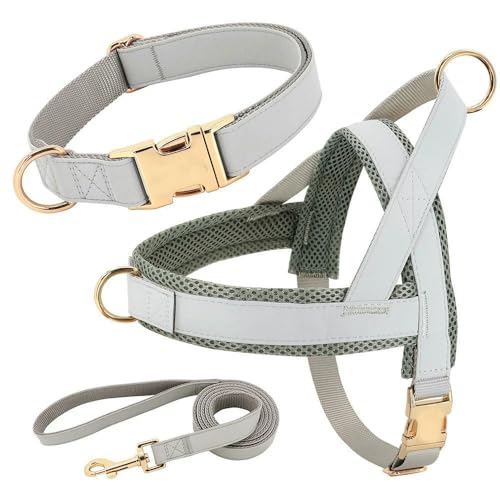 LYVQZPWLRHund mit Werkzeug, Personalisiertes Hundehalsband-Geschirr-Leine-Set, individuelle Halsbänder, Keine Zugweste for kleine, mittelgroße und große Haustiere, Laufleine(Gris,Small) von LYVQZPWLR