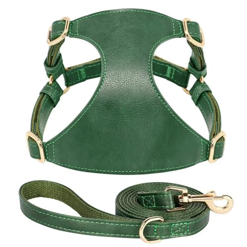 LYVQZPWLRHund mit Werkzeug, Set aus Hundegeschirr und Leine for Welpen, weiches PU-Leder, Katzenweste, Geschirr mit Leine for kleine und mittelgroße Chihuahua(Green,2XS) von LYVQZPWLR