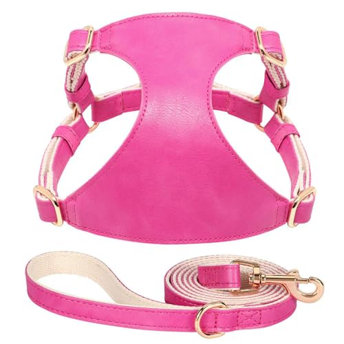 LYVQZPWLRHund mit Werkzeug, Set aus Hundegeschirr und Leine for Welpen, weiches PU-Leder, Katzenweste, Geschirr mit Leine for kleine und mittelgroße Chihuahua(Rose,XS) von LYVQZPWLR