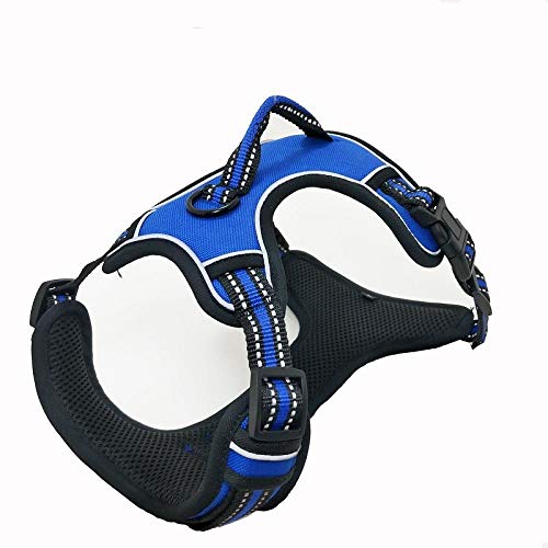 LYVQZPWLRHund mit Werkzeug, Zugseil for Hunde, kein Ziehen, reflektierendes Hundegeschirr, Weste for Haustiere mit stabilem Griff, verstellbarem Gurt(Blu,X-Large) von LYVQZPWLR