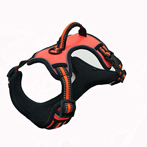 LYVQZPWLRHund mit Werkzeug, Zugseil for Hunde, kein Ziehen, reflektierendes Hundegeschirr, Weste for Haustiere mit stabilem Griff, verstellbarem Gurt(Oranje,XS) von LYVQZPWLR