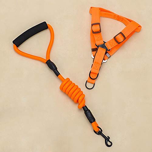 LYX Pet Zugseil, Schaum behandelter Hund Traction Set, Hund Seil, Medium Dog Supplies (Color : Orange, Größe : M) von LYX