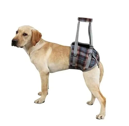 Hundebeinstützgeschirr – Reise- Rehabilitations- und Mobilitätshilfe für ältere und verletzte Hunde,Blue-XL von LYXLBX