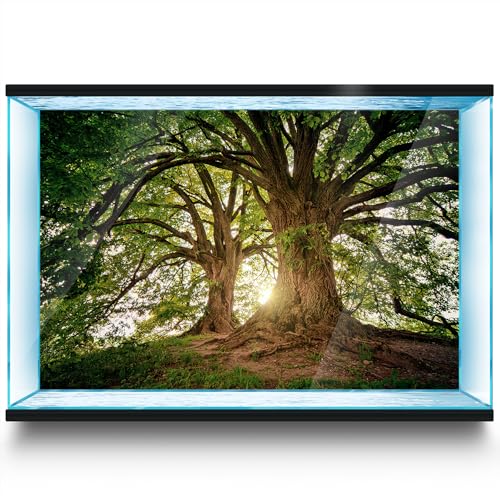 Aquarium Hintergrund Aufkleber Baum Stamm Ast Blatt Fisch Tank Reptilien Terrarium Dekor Poster (60 x 30 cm) von LYYAB