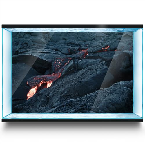 Aquarium Hintergrund Aufkleber Lava Rock Vulkan Aquarium Reptilien Terrarium Dekor Poster (90 x 60 cm) von LYYAB