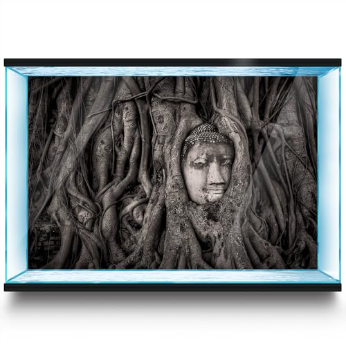 LYYAB Aquarium Hintergrund Aufkleber Buddha Wurzel Baum Fisch Tank Reptilien Terrarium Dekor Poster (90 x 60 cm) von LYYAB