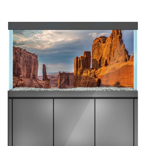LYYAB Aquarium Hintergrund Aufkleber - Canyon Wüste, Felsen, Himmel - Aquarium Reptilien Terrarium Dekor Poster (120 x 60 cm) von LYYAB